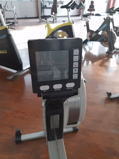Professionelles Fitnessstudio, Fitnessgeräte, Heimclub, Fitness-Rudergerät, Air Rower