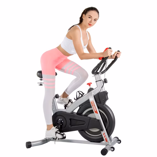 Professionelles Heimtrainer für den Heimgebrauch